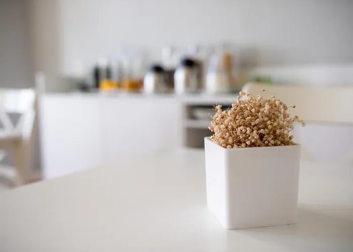 迪坎汀波尔图酒店 2*